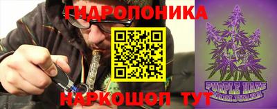 амф Славгород