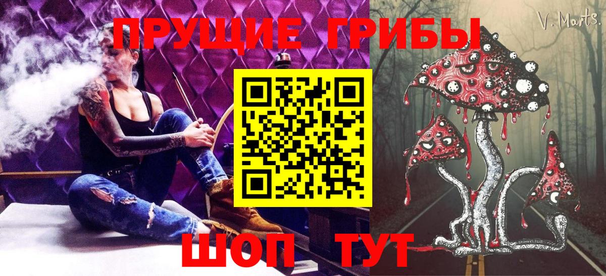 Новороссийск  Псилоцибиновые грибы Magic Shrooms  Псилоцибиновые грибы ЛСД  закладки  Вход с VPN 