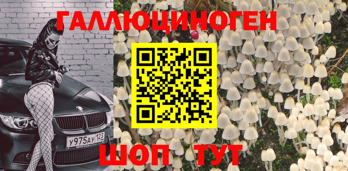Галлюциногенные грибы MAGIC MUSHROOMS Новороссийск